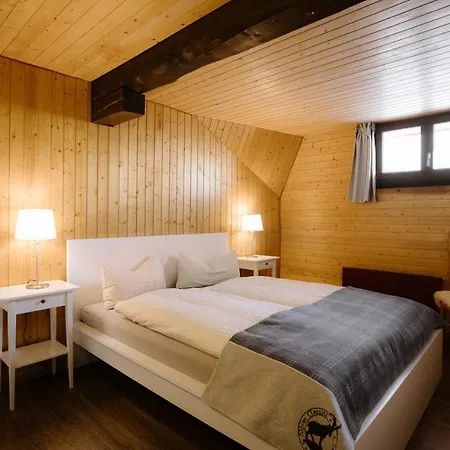 Hotel Engstligenalp *