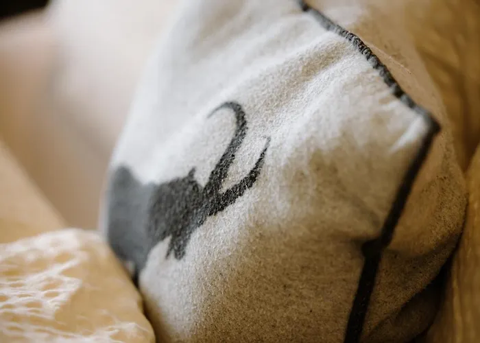 Hotel Engstligenalp *